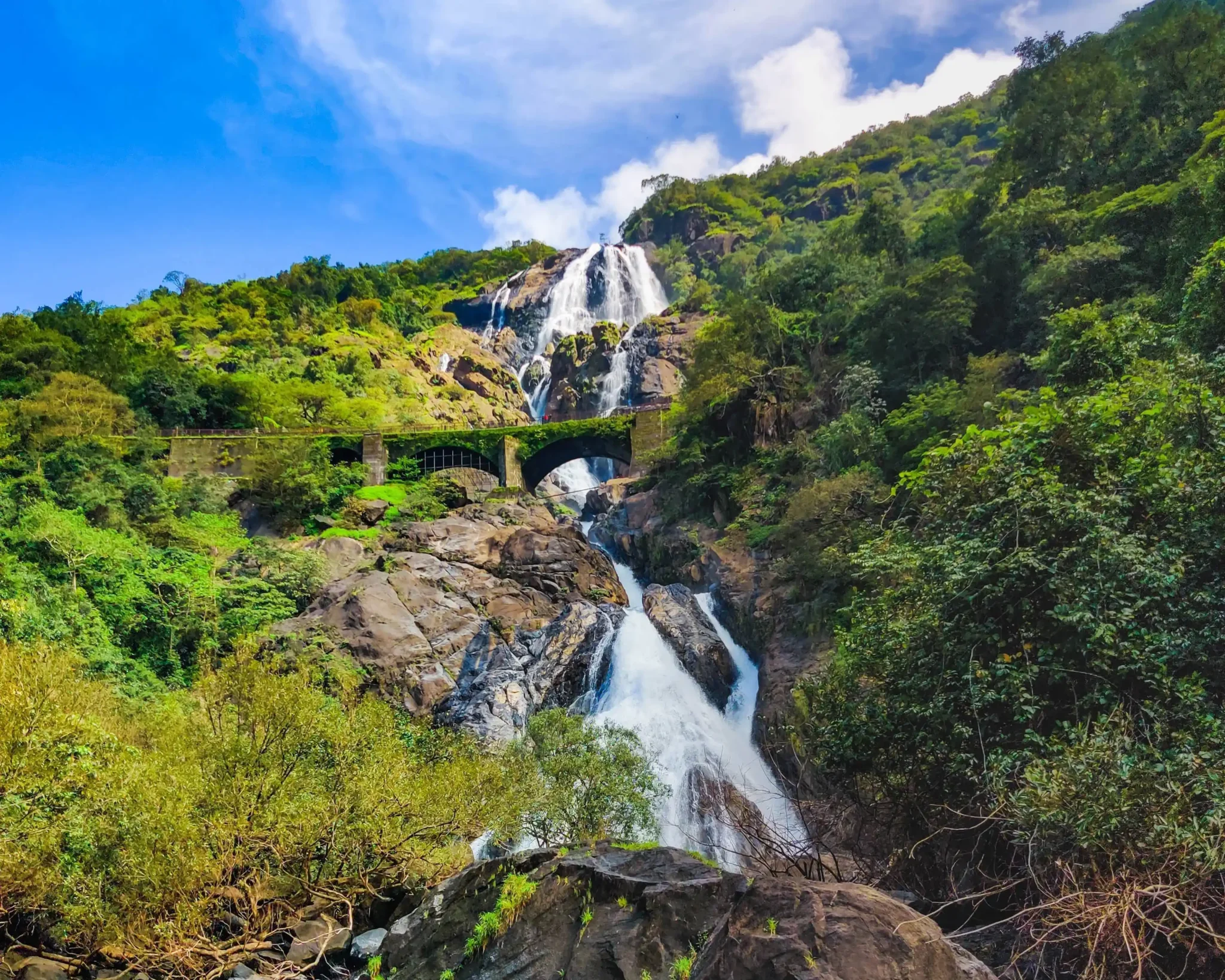 Dudhsagar Falls in full flow, four tiers of white water down basalt rock in Mollem, Goa